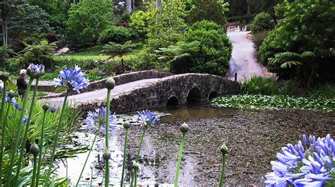 "THE BOTANIC GARDENer" - Tamborine Mountain Regional Botanic Gardens