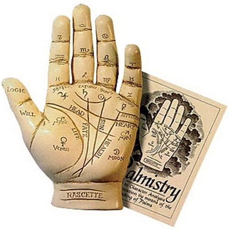 Palmistry Hand Kit With Palm Reading Guide Booklet - Walmart.com