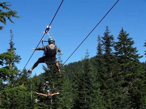 Zipline at Grouse Mountain, Vancouver, BC | Grouse mountain, Ziplining ...