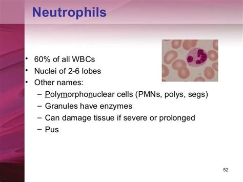 High Neutrophils Low Lymphocytes High Cd3 Lymphocytes Low Cd66b ...