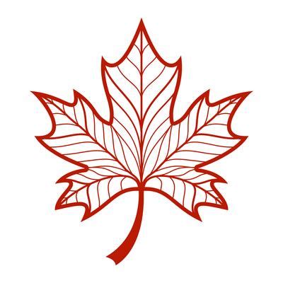 Maple Leaf Vector Art, Icons, and Graphics for Free Download