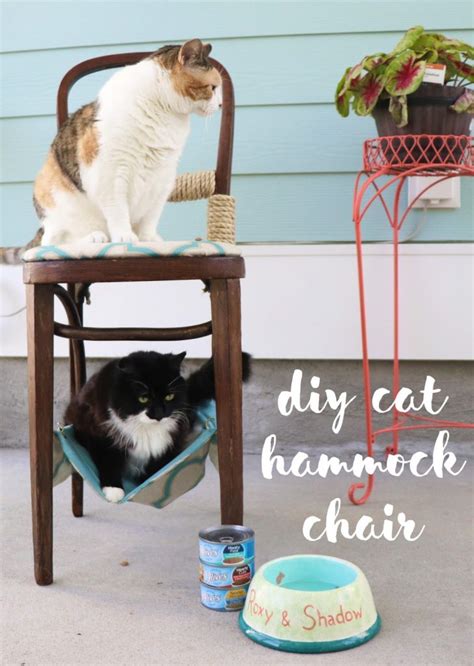 DIY Cat Hammock Tutorial - All Pet Care