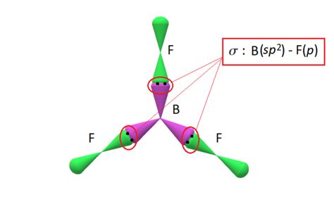 Write a hybridization and bonding scheme for each molecule. | Quizlet