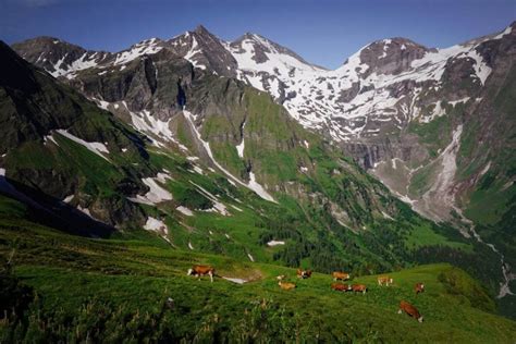 Austrian Alps: 12 Top Hiking Destinations | Moon & Honey Travel