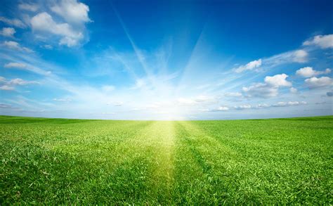 Dry N Clean Sky and Grass Image