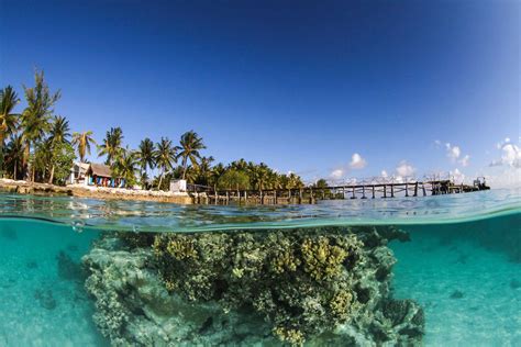 Scuba Diving with Dive Spirit Fakarava Tuamotu French Polynesia