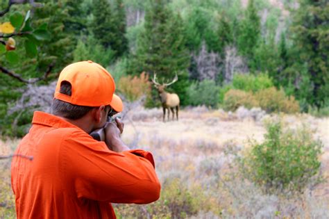 Please thank Global TV for cancelling hunting shows - Vancouver Humane ...