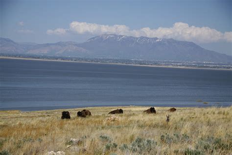 My Scenic Byway: Antelope Island, Great Salt Lake