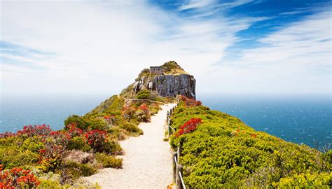 The Natural Wonders of Cape Point Nature Reserve