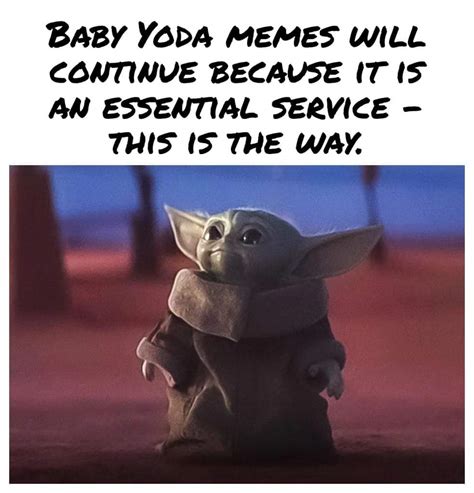 | /r/BabyYoda | Baby Yoda / Grogu | Know Your Meme