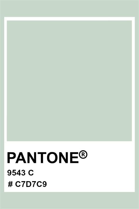 PANTONE 9543 C #pantone #color #pastel #hex | Pantone, Colori pastello ...