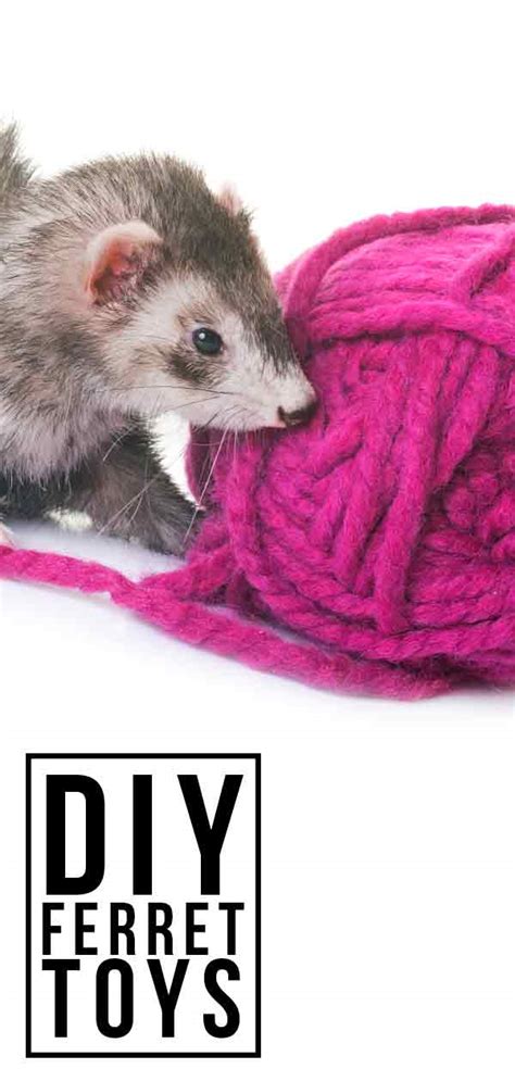 DIY Ferret Toys - Fabulously Free Ways To Entertain Your Ferret