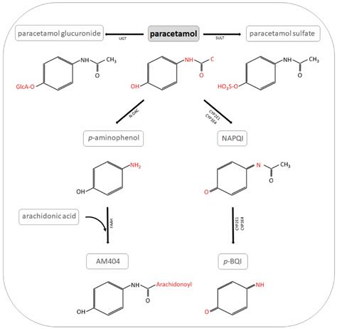 Acetaminophen Synthesis