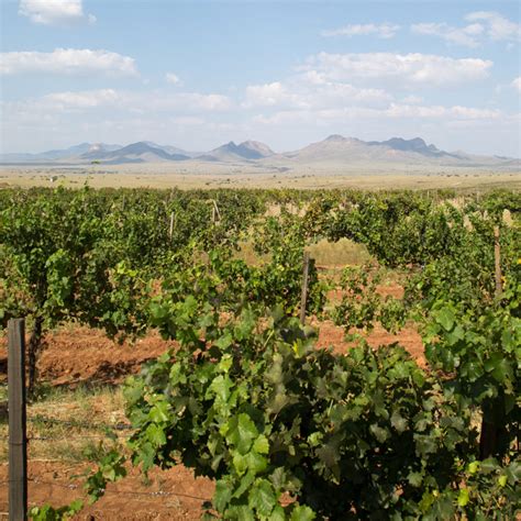 Sonoita Vineyards | Arizona Wine