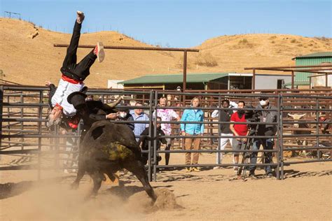 Johnny Knoxville Suffered Brain Damage From Jackass Forever Bull Stunt