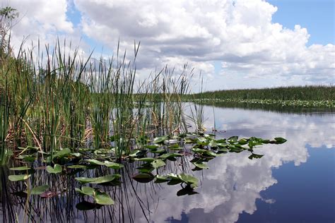 Everglades National Park Wallpapers - Wallpaper Cave