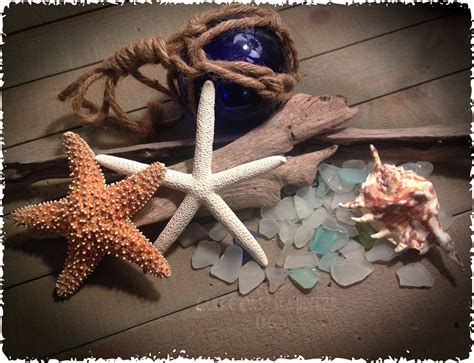 Beach Treasures | Life art, She sells seashells, My happy place