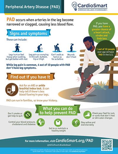 Peripheral Artery Disease – Infographic | CardioSmart – American ...