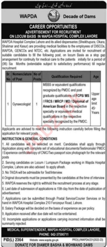 Gynaecologist job at Wapda Hospital Complex Lahore 2024 Job ...