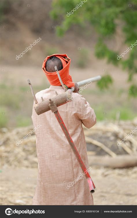 Indian Farmer Yoke Oxen Farming India Happy Farm Worker Carry Stock ...