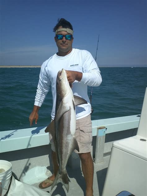 Emerald Isle Fishing Report: Cobia fishing out of Emerald Isle NC