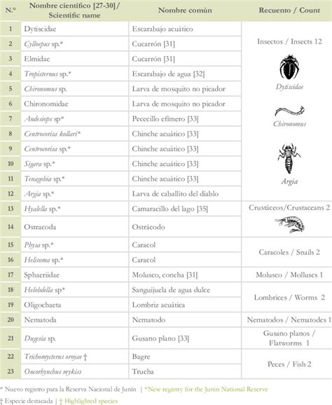 Species found by the Aquatic Entomology Group | Download Scientific Diagram