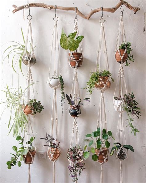 23 gorgeous plant wall ideas for small and big spaces – Artofit