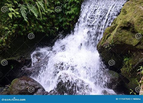 Waterfalls photo stock image. Image of nature, forest - 111547043