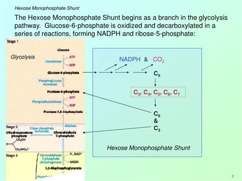 PPT - Biochemistry 3070 PowerPoint Presentation - ID:6711163