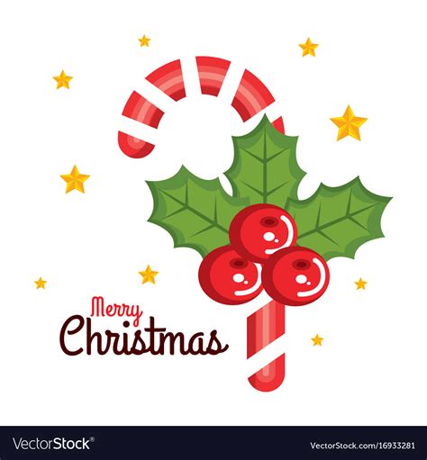 Merry christmas candy cane sweet holly berry star Vector Image