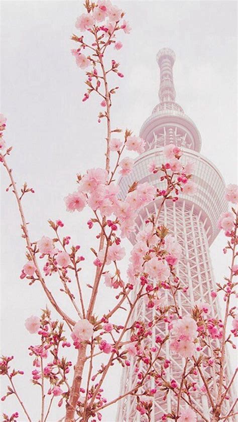 Japan Aesthetic Wallpaper Pink Download high quality pink backgrounds ...