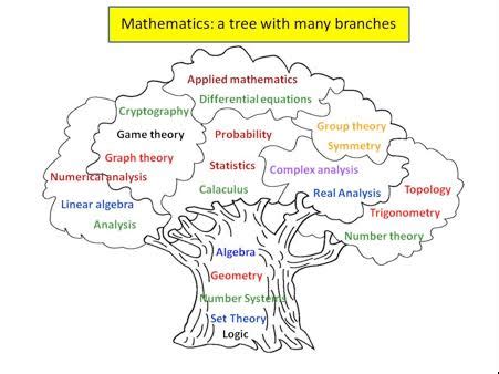 Swaliha: Branches of Mathematics