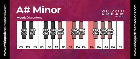 Bb Minor Chord Scale (A# Minor Chord Scale), Chords in The Key of B ...