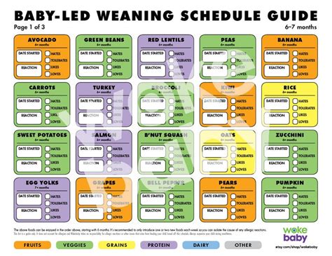 Baby-led Weaning BLW Schedule Printable Guide of 60 Foods for Parents ...