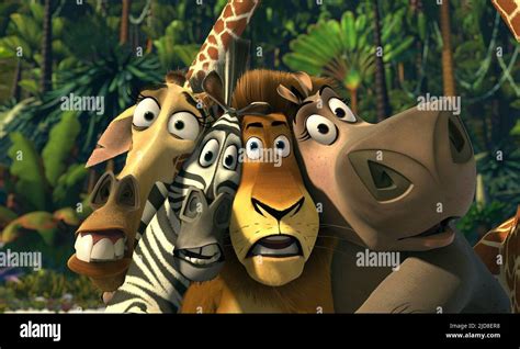 GIRAFFE,ZEBRA,LION,HIPPO, MADAGASCAR, 2005 Stock Photo - Alamy