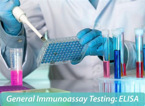 General Immunoassay Testing: ELISA - Elokarsa