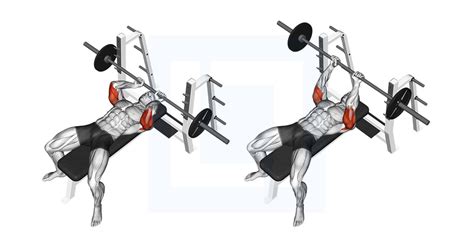 Dumbbell Lying Triceps Extension - Guide, Benefits, and Form