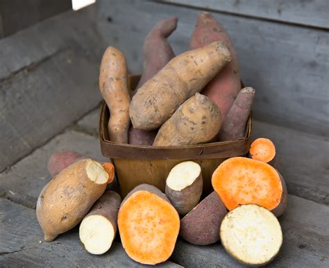 White Sweet Potatoes! - Frog Song Organics | Organic Farm | Central Florida