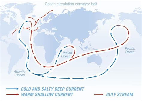 Ocean Conveyor Belt