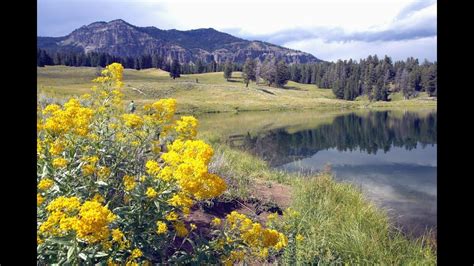 Yellowstone Supervolcano Eruption Effects - YouTube