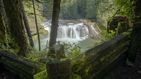 Are National Forests Open In Wa? Trust The Answer - Chambazone.com