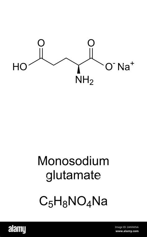 Glutamate Structure