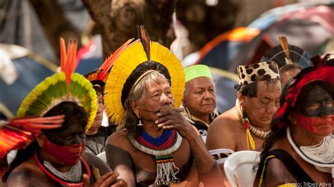 The Amazonian People: A History And Culture Of The Indigenous Peoples ...