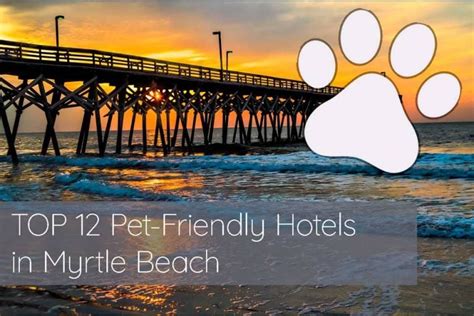 TOP 12 Pet-Friendly Hotels in Myrtle Beach in 2023