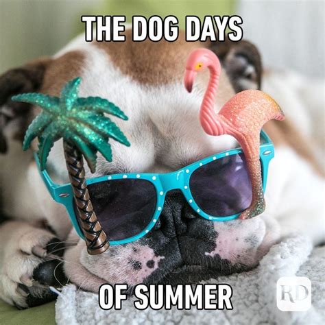 25 Funny Summer Memes We Can All Relate To | Reader's Digest