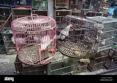 bird cage at market Surakarta Java island Indonesia South East Asia ...