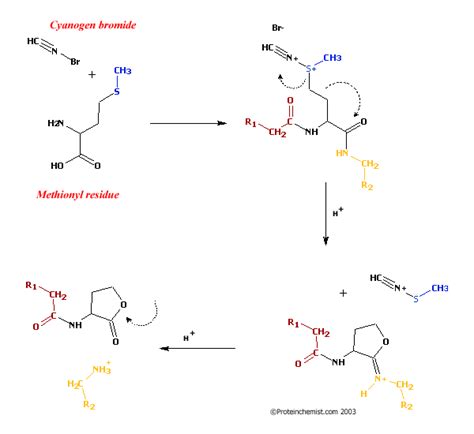 Cyanogen bromide - Alchetron, The Free Social Encyclopedia