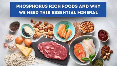 Phosphorus rich foods and why we need this essential mineral | Sprint ...