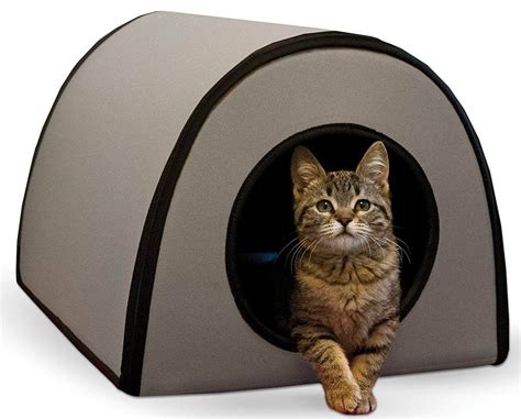 The 5 Best Heated Cat Beds in 2023 | PawGearLab