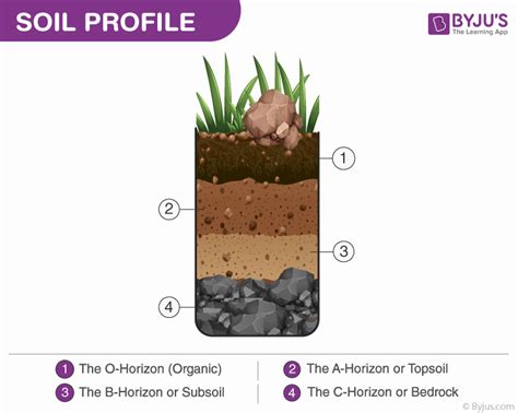 Label Soil Profile Diagram